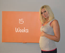 zwangerschap week 15