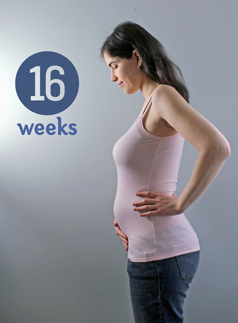 16 weken zwanger